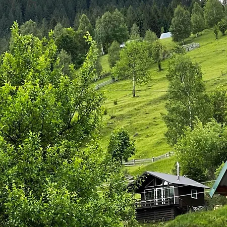 файна хата 4 Ferienhaus Synevyrsʼka Polyana